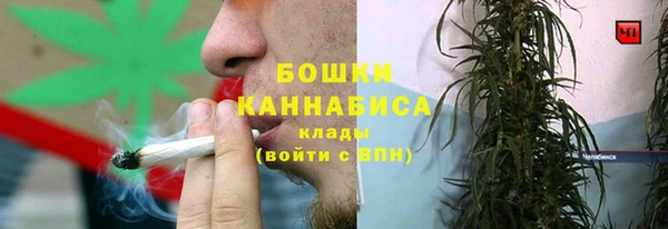 винт Пересвет