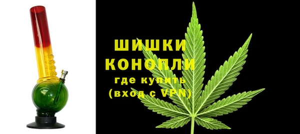 винт Пересвет