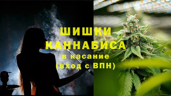 apvp Пестово