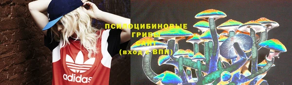 прущая мука Алзамай