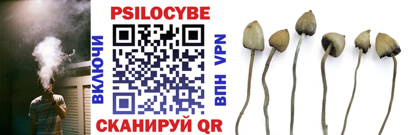 Псилоцибиновые грибы ЛСД купить наркоту Хотьково